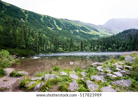 mountain lake in summer with stream and fog in forest