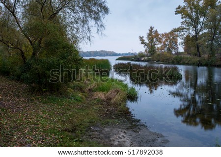 Overcast. Autumn sunrise on the banks of a large river. The trees have turned yellow, is small rain and blowing very strong wind. This autumn weather eastern Europe.