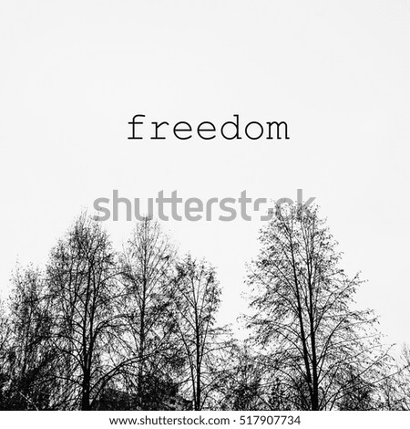 black and white landscape , tree branches, and the inscription "freedom"