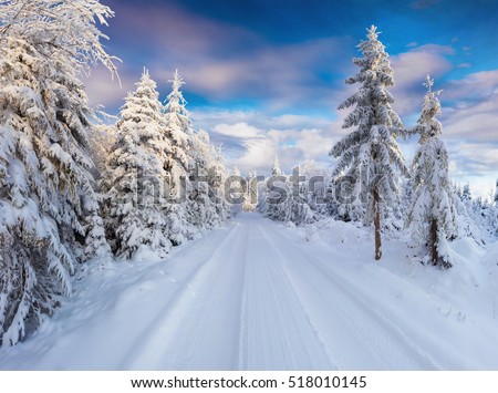 Sunny winter morning in Carpathian mountains with snowy country road. Colorful outdoor scene, Happy New Year celebration concept. Artistic style post processed photo.