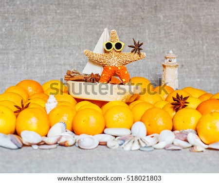 New year and Christmas card. Holiday and celebration concept. Christmas  spices in a boat on mandarins. 