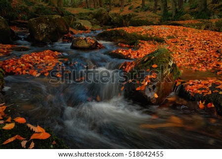Picturesque and gorgeous, long exposure photo of mountain creek, during autumn season in mysterious wood, Ireland 