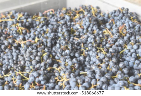 Defocused background of a big white box full of purple wine grapes. Intentionally blurred post production for bokeh effect.