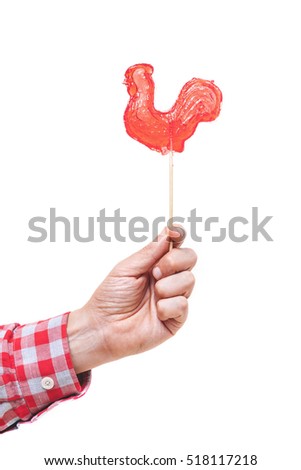symbol 2017. Sweet lollipop red rooster holding hand man in a plaid shirt over a white background
