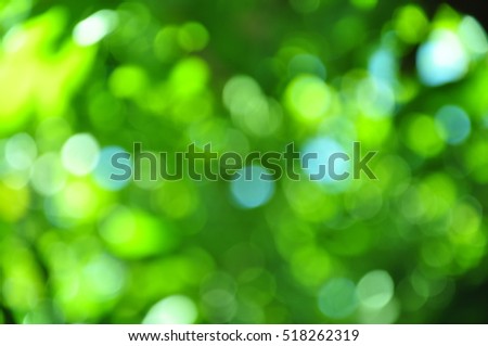 Green bokeh of the tree.