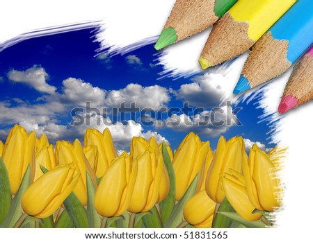 Beautiful summer landscape with yellow tulips being drawn