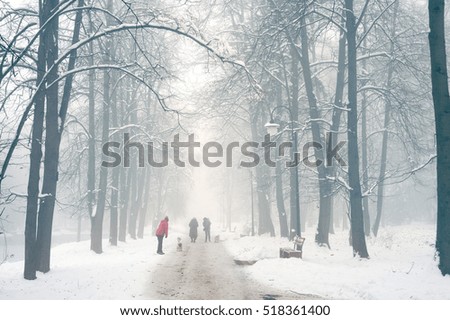 After a night of snow blizzard foggy morning silhouettes of passers citizens walking their pets under the snow-covered trees in the background of the cold urban park in Ukraine
