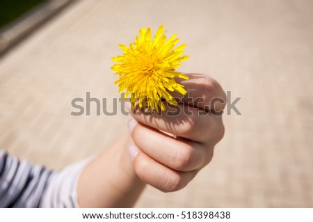 Little child holding a yellow dandelion flower in his hand. Stock image.