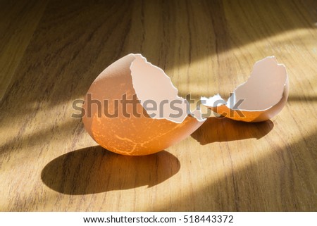 Eggshell, which is visible by sunlight shining through,on wood background
