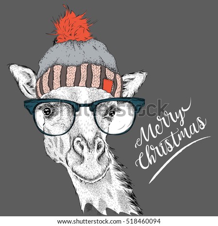 Christmas card with giraffe in winter hat. Merry Christmas lettering design. Vector illustration
