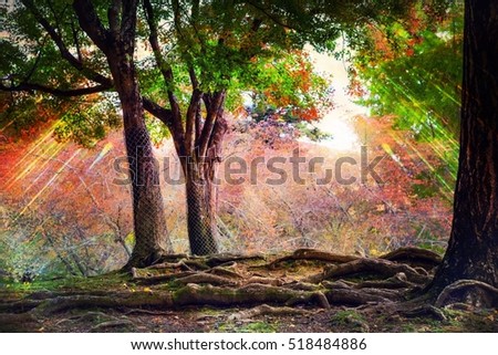 tree roots and deep forest in autumm and magic art