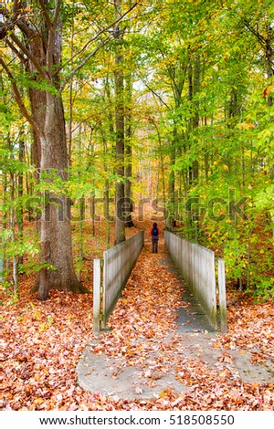 Wooden bridge way to beautiful autumn forest. Countryside landscape,