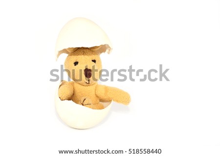 Little brown Plush Rabbit seated inside of an egg isolated