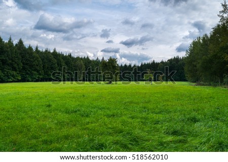 Wild field in Bohemian Switzerland, (Ceske Svycarsko), Hrensko,  Czech republic, Central Europe. 