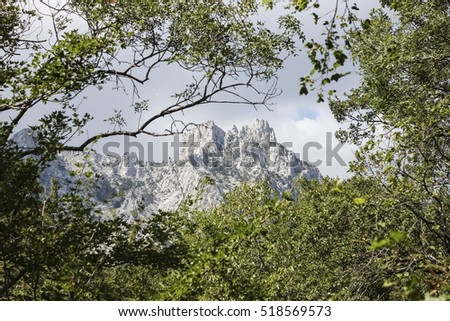 Mountain view from the forest