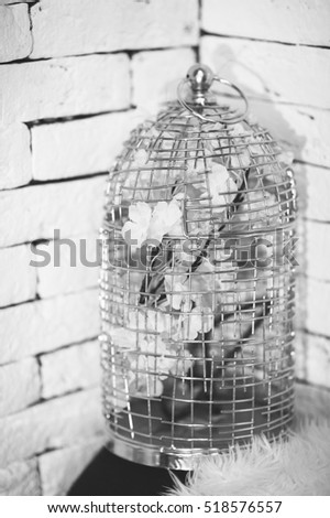 Decoration ot the room with birdcage on white wall background, black and white vertical