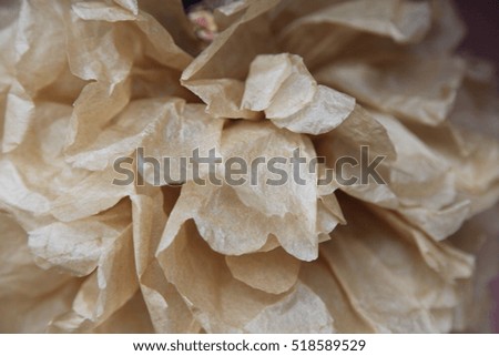 Abstract pattern from paper. Paper petals texture for background