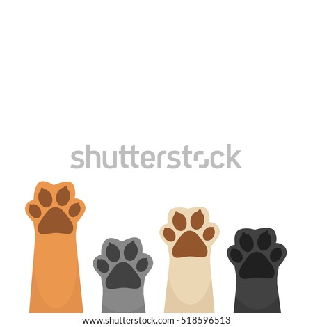 Paws up pets copy space background