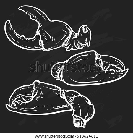 Crab claws isolated on black background. Hand drawn crab vector. crab claws with clipping path. seafood sketch.