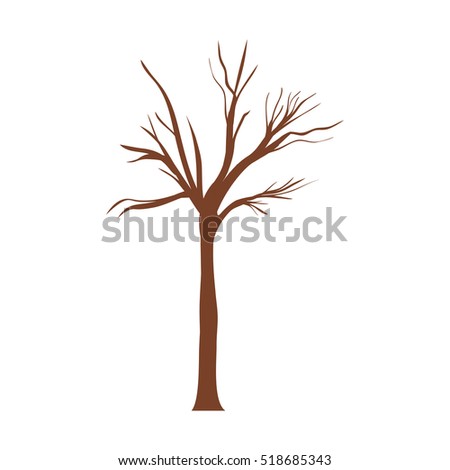 tree trunk with branchs without leaves