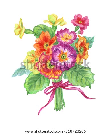 A bouquet of primrose. Spring bouquet with watercolors on a white background, floral print for greeting card, textiles, decor for various products, etc.