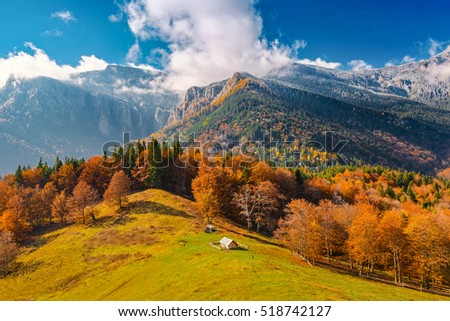 Landscape with the end of fall and beginning of winter in mountains Carpathians