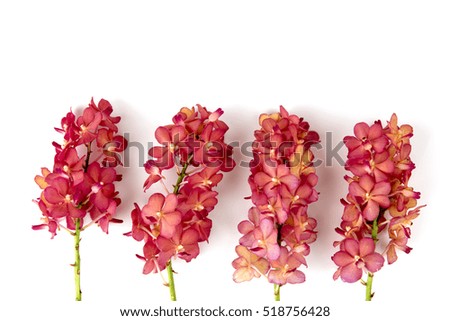 Bouquet of orchids on the white background