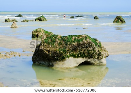 View on the ocean, the low tide, Rocks on the beach Royalty-Free Stock Photo #518772088