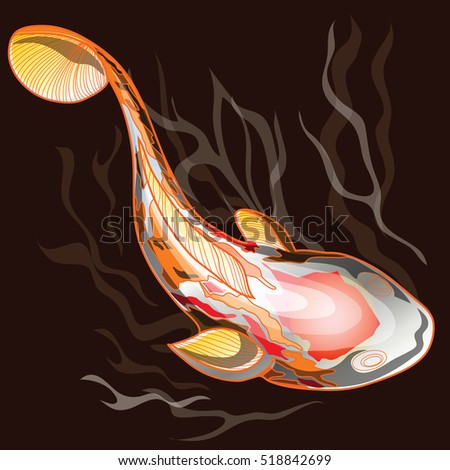 Koi fish red, orange and white color swim in water brown color and white wave illustration computer nice graphic design and clipping path.