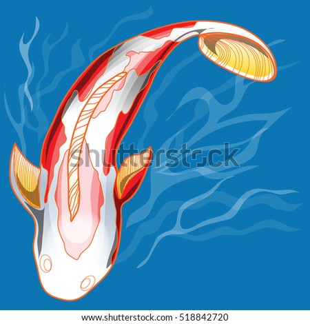 Koi fish red and white color swim in water blue and white wave illustration computer nice graphic design and clipping path.