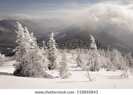 Beautiful winter landscape in the mountains.
