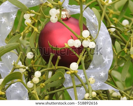 christmas card: close up fresh green mistletoe, white berries, red bauble and white ribbon with stars. Green background, Christmas picture.