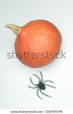 pumpkin and spider on white background.