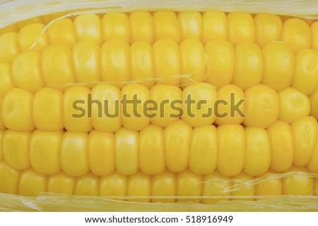Close up boiled corn