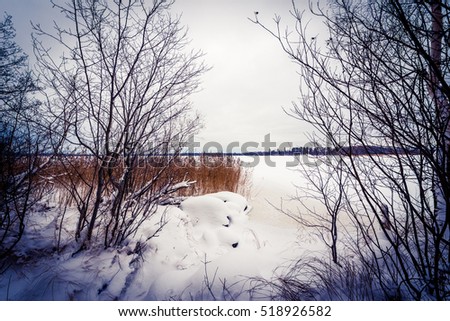 Frozen lake among the winter forest. Image vignetting and the blue toning