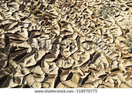 Takyr crust in the spring desert of the Western Kazakhstan
