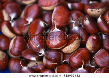 Many ripe chestnuts as background