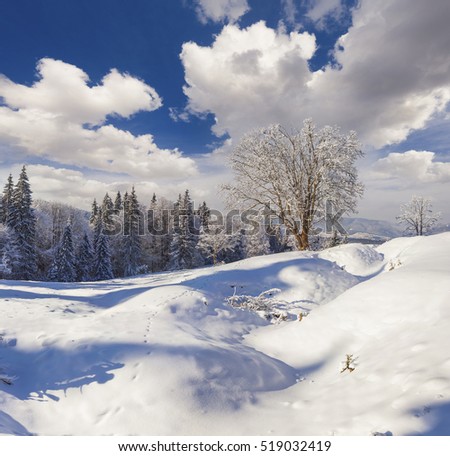 Picturesque winter morning in Carpathian mountains with snow covered trees. Colorful outdoor scene, Happy New Year celebration concept. Artistic style post processed photo.