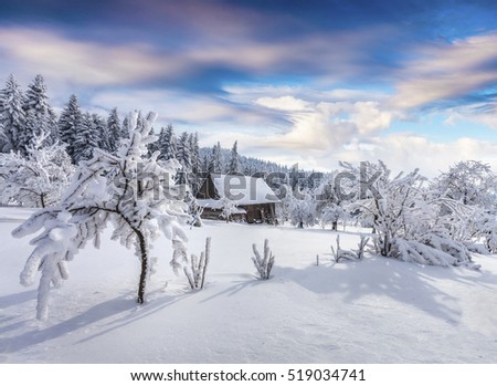 Sunny winter morning in Carpathian village with snow covered trees in garden. Colorful outdoor scene, Happy New Year celebration concept. Artistic style post processed photo.