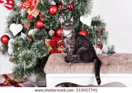 Bengal cat on a background of Christmas tree with red balls
