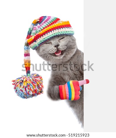 Happy cat wearing a warm hat peeking and pointing at empty board. isolated on white background