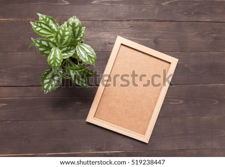 Picture frame and flowerpot  are on the wooden background .