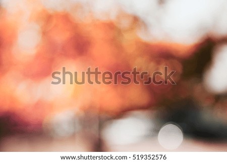 beautiful natural backdrop. Autumn bokeh