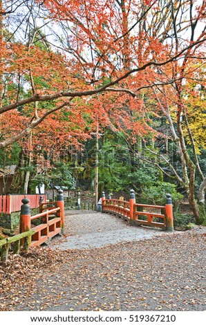 Autumn Season and Japanese Bridge in Japan.