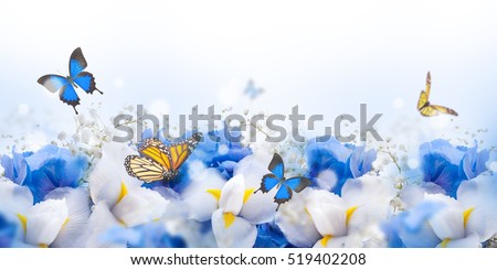 Amazing butterfly fairy of flowers, hydrangeas and iris. Royalty-Free Stock Photo #519402208