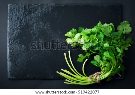 Fresh green coriander, coriander leaves on a black slate background. Selective focus. Royalty-Free Stock Photo #519422077