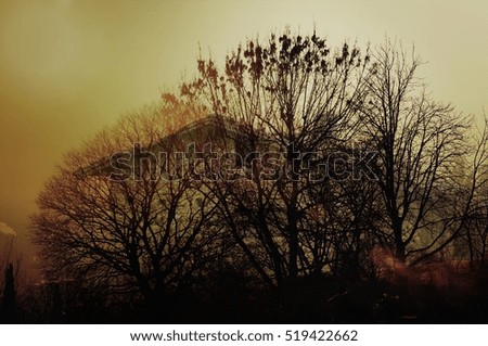 Abandoned farmhouse behind bare trees in evening.