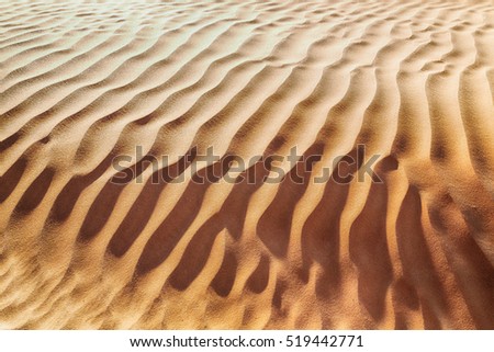 abstract texture line wave in oman the old desert  and the empty quarter  Royalty-Free Stock Photo #519442771