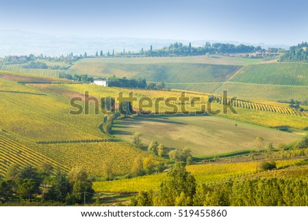 vineyards in autumn colors autumn vineyards in the mountains of Italy