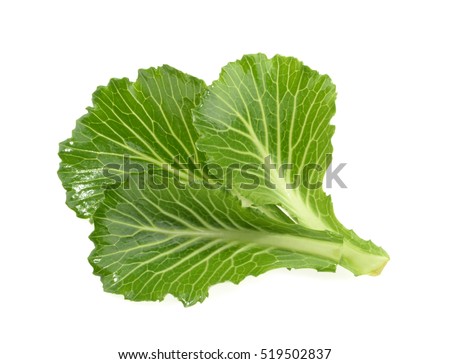 Cabbage leaves isolated on white Royalty-Free Stock Photo #519502837